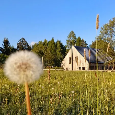 Modrinka Holiday home